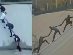 Assistir: Estranhos, um cachorro e um momento que o mundo escolheu lembrar