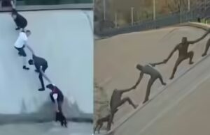 Assistir: Estranhos, um cachorro e um momento que o mundo escolheu lembrar