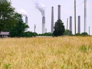 Boletim informativo da Fox Information AI: Família recusa US $ 26 milhões do gigante da IA para manter terras agrícolas