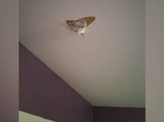 Mulher afirma que rocha espacial bateu em casa depois que explosão na área de Houston abalou moradores