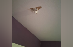 Mulher afirma que rocha espacial bateu em casa depois que explosão na área de Houston abalou moradores