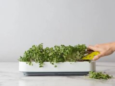 Cultive suas ervas e verduras favoritas com os melhores jardins internos inteligentes