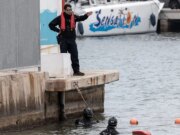 A autópsia de Jimmy Gracey do governo espanhol afirma que o especialista forense: ‘problema para mim’