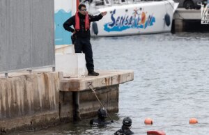 A autópsia de Jimmy Gracey do governo espanhol afirma que o especialista forense: ‘problema para mim’