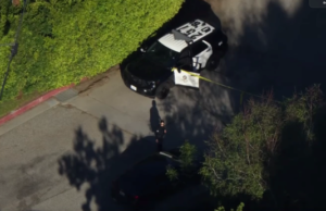 Casa de Rihanna em Beverly Hills atingida por tiros; suspeito preso, diz LAPD