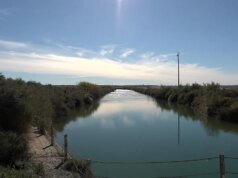 A gestão do Rio Colorado planeja ser determinada pelo governo após a paralisação das negociações