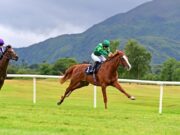 Os cavalos chatos de Jamie Lynch virão em 2026