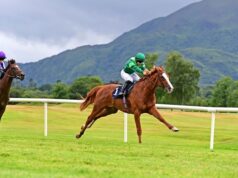 Os cavalos chatos de Jamie Lynch virão em 2026