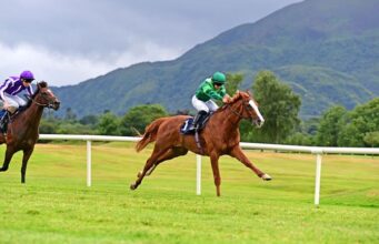 Os cavalos chatos de Jamie Lynch virão em 2026