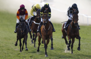 Hoje na Sky Sports activities Racing: Sedgefield e Newcastle apresentam
