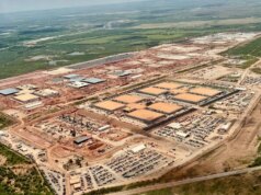 Os senadores Elizabeth Warren e Josh Hawley pressionam pela transparência energética dos knowledge facilities