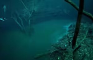 O ‘sexto maior rio’ da Terra está escondido 35 metros abaixo do Mar Negro