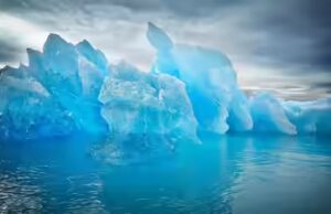 Por que a Groenlândia quase “não tem árvores” e o que a torna tão incomum; o motivo vai te chocar