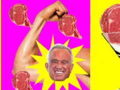 Segui o conselho de RFK Jr. e não comi nada além de alimentos ricos em proteínas por uma semana