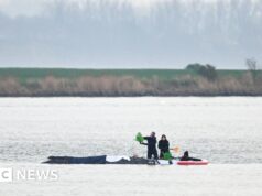 Equipes de resgate usarão almofadas de ar no último esforço para salvar baleia encalhada