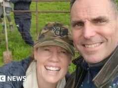 Ex-piloto da Marinha dos EUA perde recurso contra extradição da Austrália