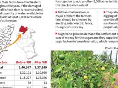 Eleitores aguardam a reconstrução da barragem de Shenbhagavalli para aumentar a irrigação