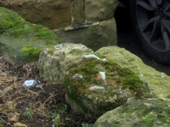 Fãs de Emmerdale chamam pista ‘ausente’ em evidência bombástica para Moira Dingle