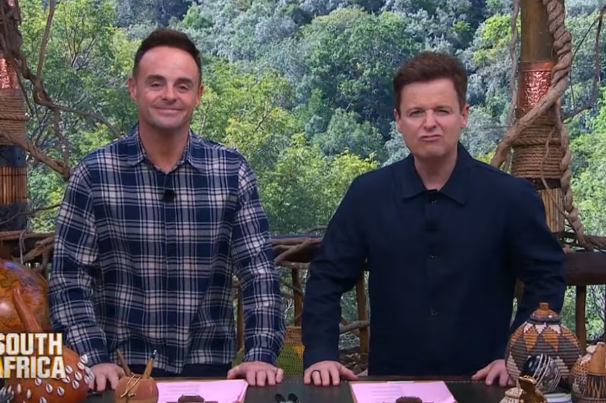 Sou uma celebridade, os telespectadores da África do Sul ficam ‘obcecados’ com a formação de novas amizades