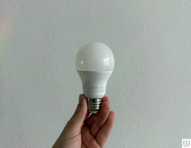 1-kajplats-bulb-source-Nena-Farrell.jpg