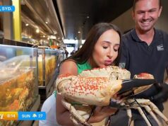 Momento selvagem Apresentador do programa de hoje é atacado por um caranguejo gigante ao vivo no ar