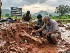 Sítio fóssil de 12.000 anos descoberto em Tamil Nadu após fortes chuvas