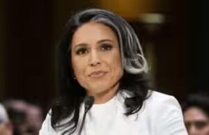 Trump está prestes a demitir Tulsi Gabbard? Relatório diz que chefe de inteligência estava relutante em relação à guerra no Irã