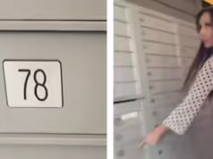 7 trabalhadores H-1B dentro de uma caixa de correio: repórter dos EUA alega ‘fraude’ envolvendo engenheiros de software program no Texas