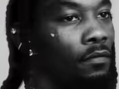 Tudo sobre o patrimônio líquido da Offset