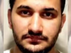 O motorista de caminhão Baljeet Singh se declara culpado de causar a morte de dois, estava jogando um jogo para celular