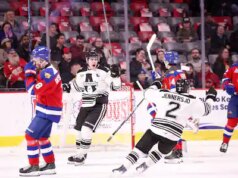 Carré d’as de la LHJMQ: uma longa guerra para terminar entre a Armada e os Wildcats