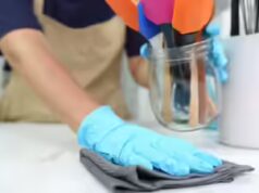 Os Emirados Árabes Unidos emitem um aviso estrito contra o recrutamento ilegal de trabalhadores domésticos: multas pesadas, encerramento de agências para os infratores