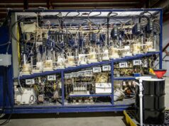 Como os pesquisadores do norte de Ontário estão usando tecnologia movida a bactérias para extrair minerais essenciais de resíduos de minas