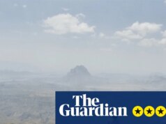 Revisão em busca de Satyrus – em busca de uma borboleta indescritível e do lepidopterista que as nomeou