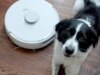 The best robot vacuums for pet hair for 2026: Expert and lab tested
