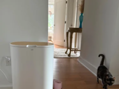 Como o baixo desperdício me ajudou a proteger minha paz em um mundo cheio de caos