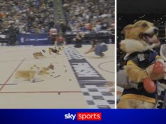 Acha que já viu tudo?! Corrida de Corgi chega à NBA