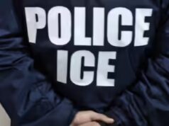 US$ 20.000 para Inexperienced Card: homem dos EUA se passando por ICE, enganou imigrantes em busca de cidadania