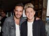 Niall Horan questiona se ele ‘poderia ter feito mais’ por Liam Payne antes de sua morte