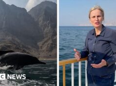 ‘Estamos à beira de um campo de batalha’: relata a BBC perto do Estreito de Ormuz