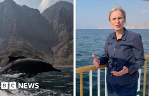 ‘Estamos à beira de um campo de batalha’: relata a BBC perto do Estreito de Ormuz