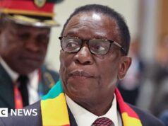 Plano para anular eleições presidenciais coloca zimbabuenses em desacordo