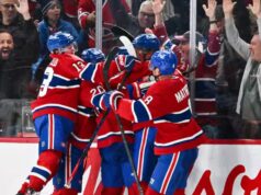 Na TVA Sports activities: enfrentam o vilão Lightning, Martin St-Louis e os jogadores do Canadá são transportados pela foule