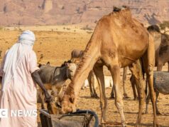 Pelo menos 42 mortos no Chade após a escalada da disputa sobre poços de água