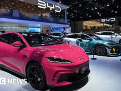 Gigante automobilística chinesa BYD diz que pode prosperar sem os EUA