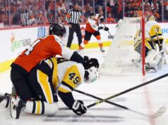 Os pinguins no chão do mur