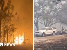 Centenas de incêndios florestais queimam na Flórida e na Geórgia