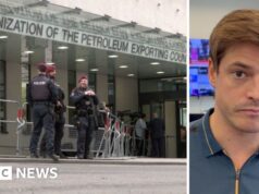 Por que os Emirados Árabes Unidos deixaram a Opep – e por que isso é importante?