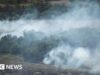 A perda international de florestas diminui, mas os incêndios do El Niño podem ameaçar o progresso