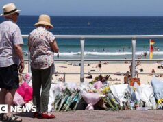 Comissão actual sobre o tiroteio em Bondi diz que a reforma das armas deve ser priorizada